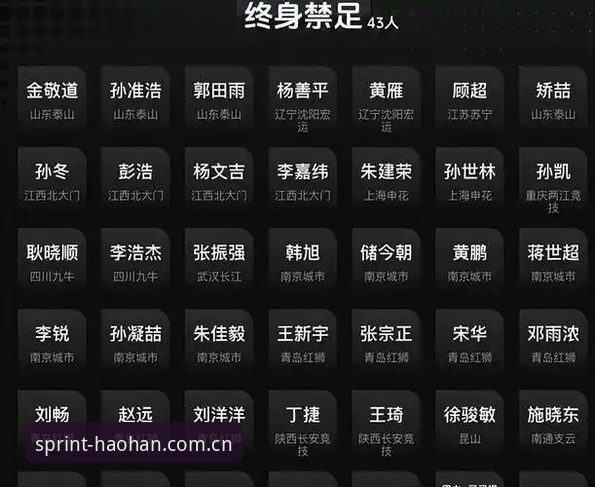 中国足球反腐风暴vs体育平台体验：足协第三批禁足名单深度解析与观赛新视角